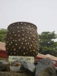 2007_01_21 Abeokuta 065.jpg