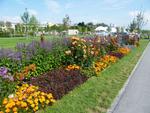 Highlight for Album: Landesgartenschau Villingen-Schwenningen (08/2010)