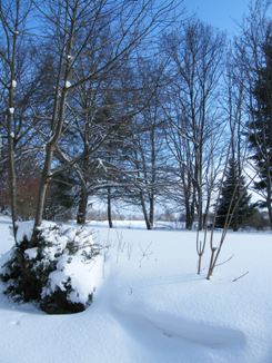 am Waldhaus in Dornhan