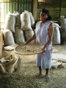 Erdnuss-Verarbeitung auf der Hope Eden Farm
